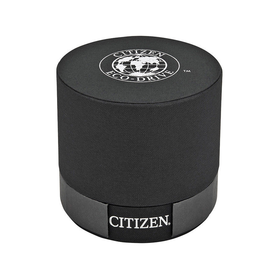 Citizen Men's BL6020-58E Diamond Bracelet