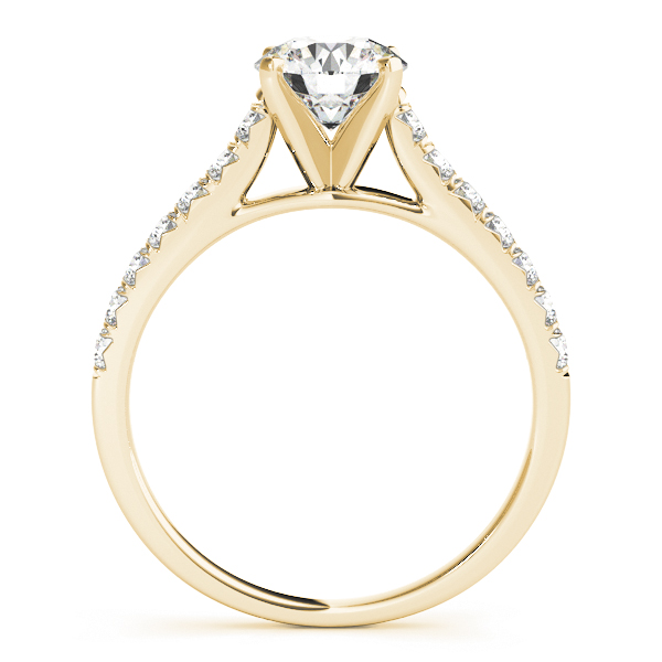 Juliana Diamond Solitaire ½ Eternity Cathedral Engagement Ring (18k Yellow Gold)