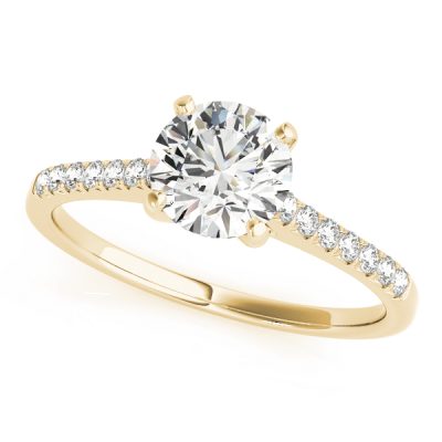 Kaylee Diamond Solitaire ¼ Eternity Cathedral Engagement Ring (18k Yellow Gold)