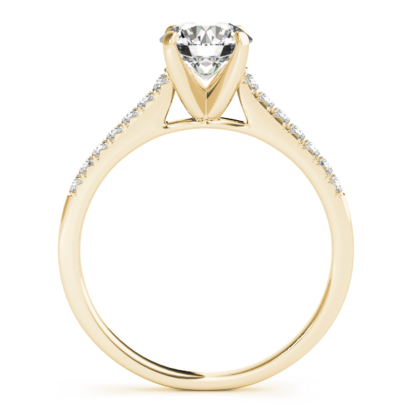 Kaylee Diamond Solitaire ¼ Eternity Cathedral Engagement Ring (18k Yellow Gold)