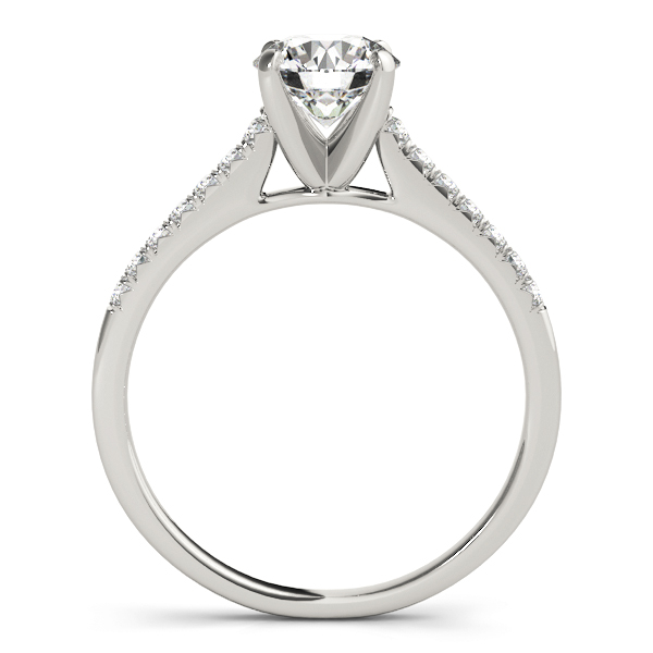 Kaylee Diamond Solitaire ¼ Eternity Cathedral Engagement Ring (Platinum)
