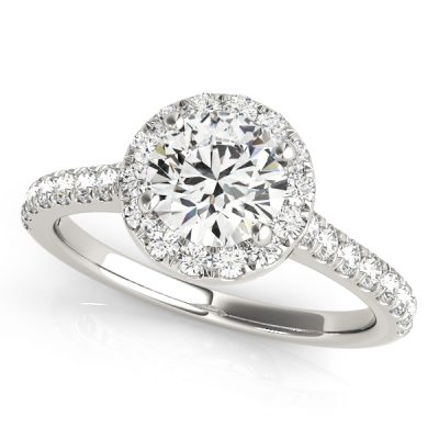 Elsa Secret Diamond Halo Medallion Cathedral Engagement Ring
 (Platinum)