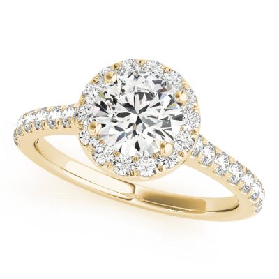 Elsa Secret Diamond Halo Medallion Cathedral Engagement Ring
 (18k Yellow Gold)