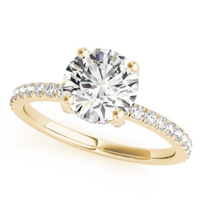 Sophia Round Brilliant Diamond Solitaire ½ Eternity Engagement Ring (18k Yellow Gold)