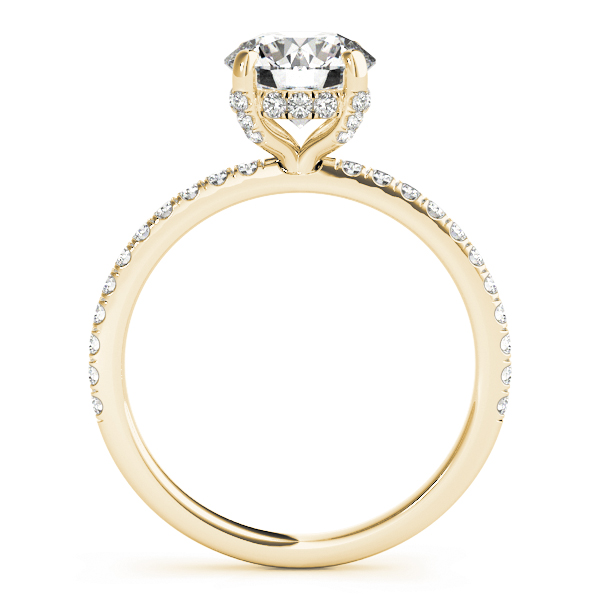 Sophia Round Brilliant Diamond Solitaire ½ Eternity Engagement Ring (18k Yellow Gold)