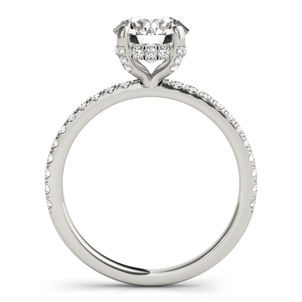 Sophia Round Brilliant Diamond Solitaire ½ Eternity Engagement Ring (Platinum)