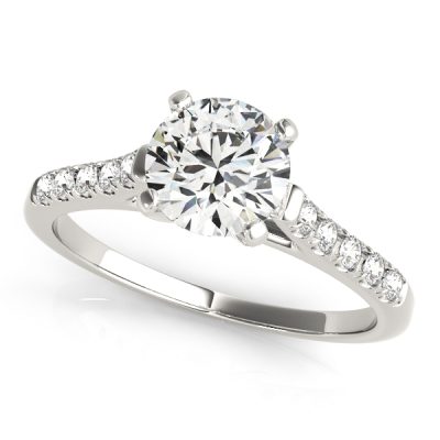 Theresa Diamond Solitaire Cathedral ¼ Eternity Engagement Ring (Platinum)